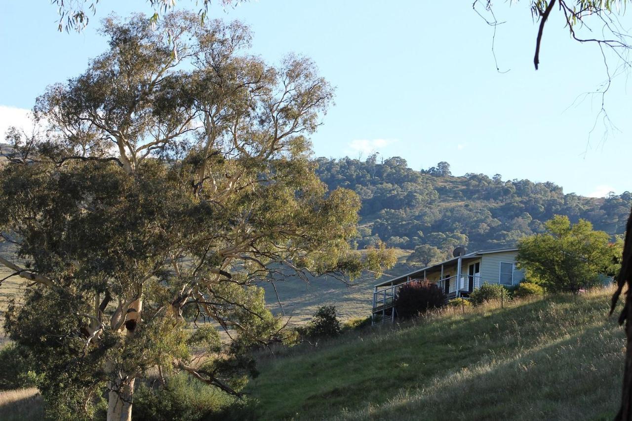 Elm Cottage Tumut Kültér fotó