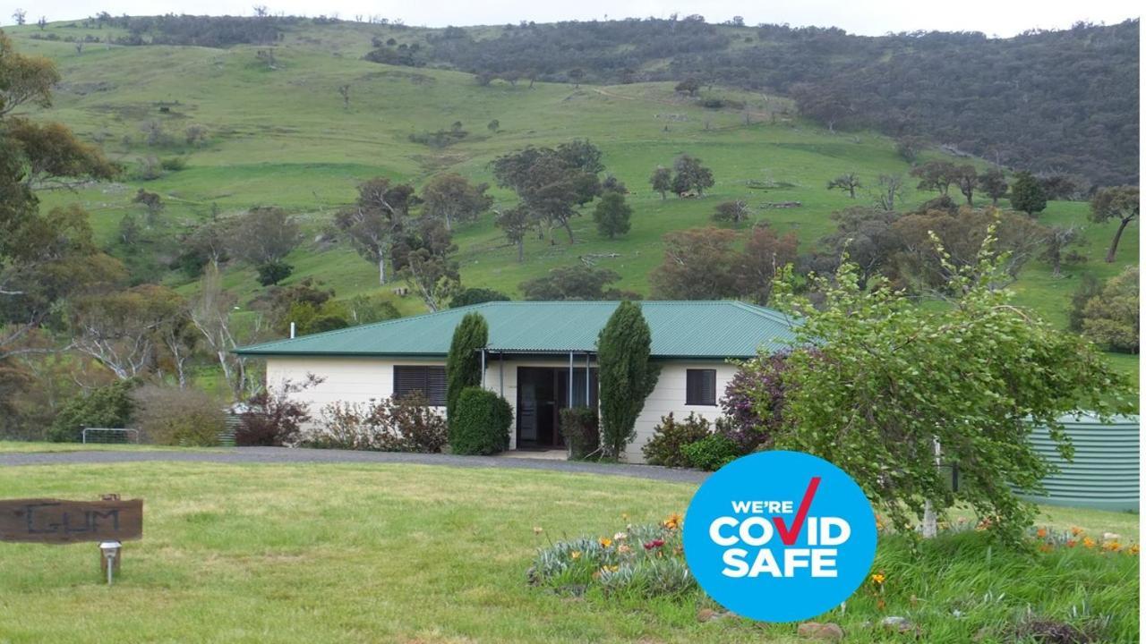 Elm Cottage Tumut Kültér fotó