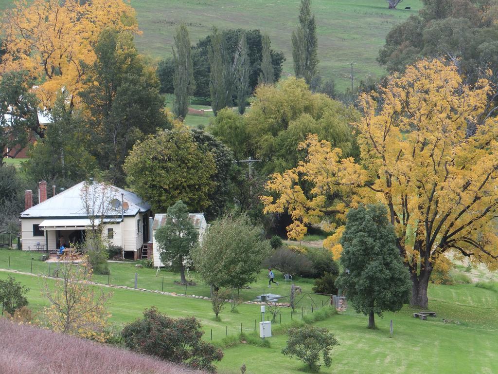 Elm Cottage Tumut Kültér fotó