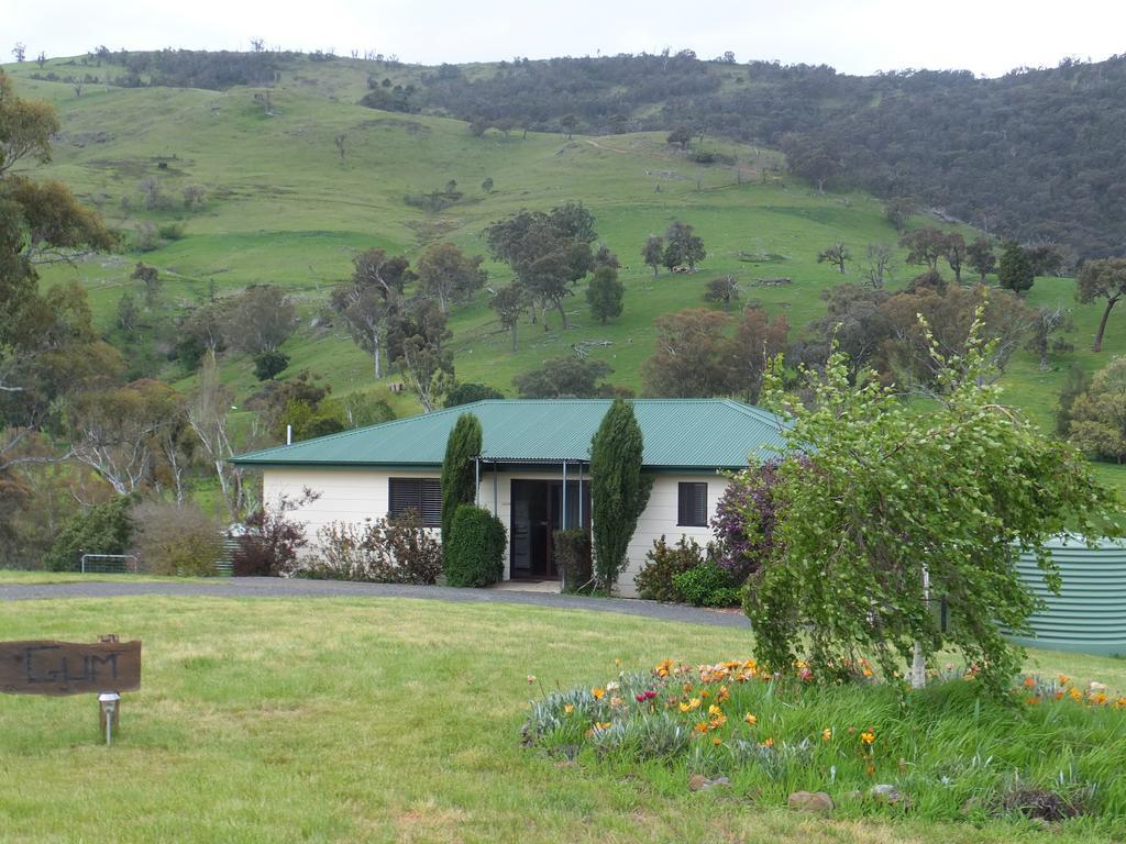 Elm Cottage Tumut Kültér fotó