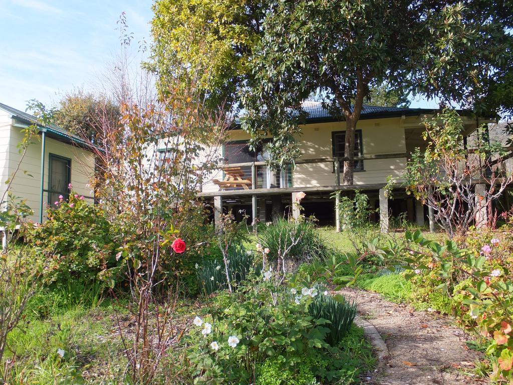 Elm Cottage Tumut Kültér fotó