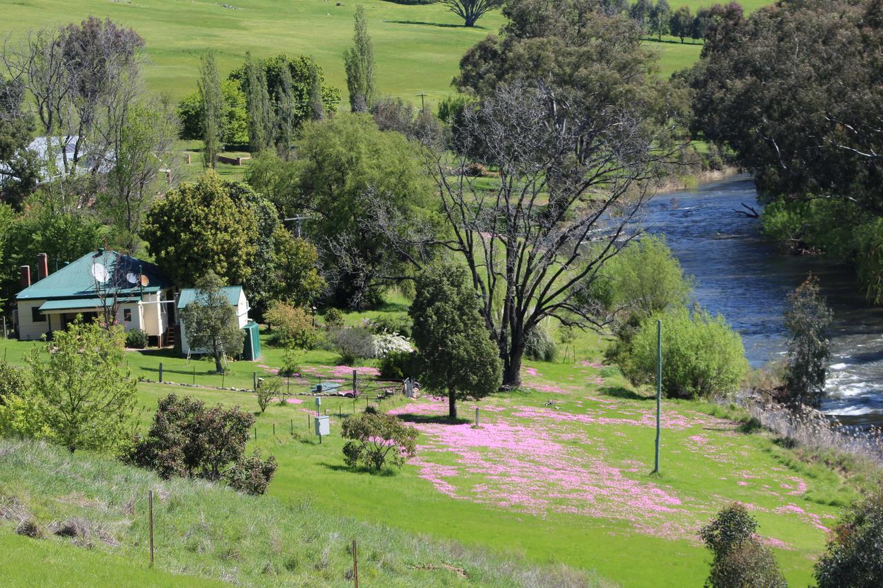 Elm Cottage Tumut Kültér fotó